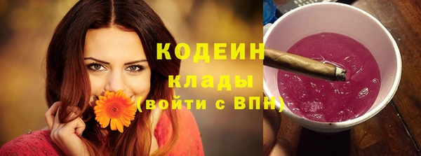 гидра Медвежьегорск