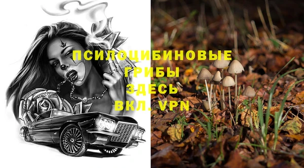экстази Медногорск