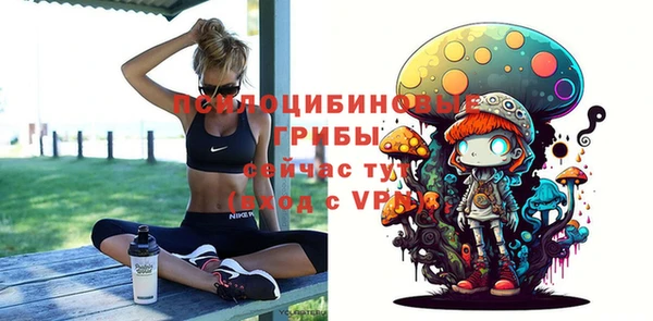 дживик Мегион