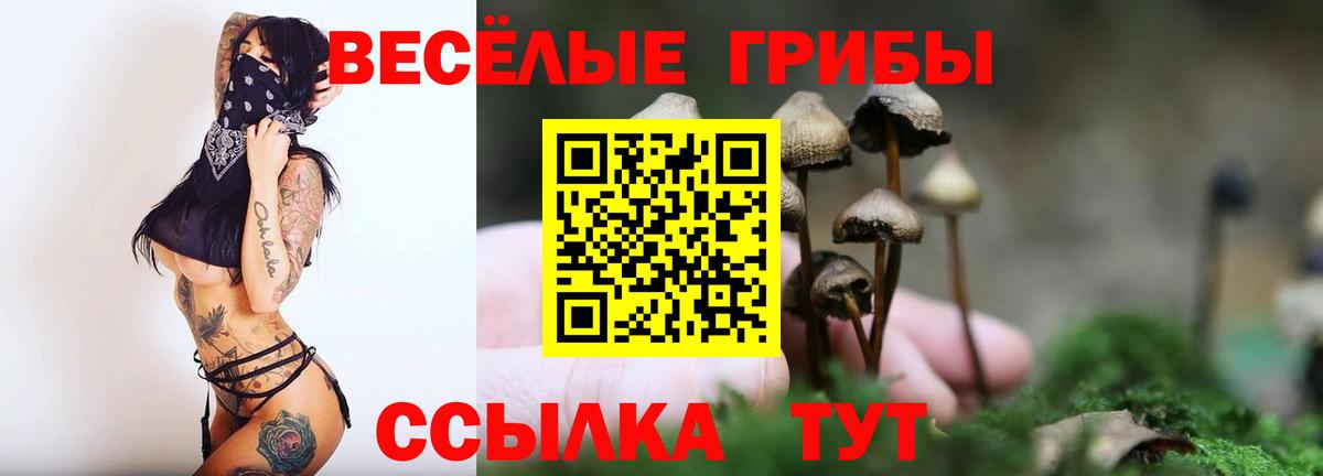 Галлюциногенные грибы GOLDEN TEACHER Люберцы